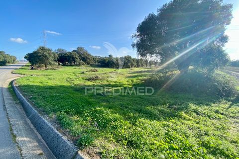 Helårsgrund i Palmela, Setubal, Palmela - € 100.000 | Ref: 048789 - foto 7