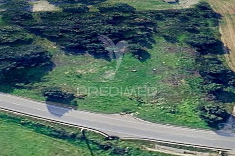 Helårsgrund i Palmela, Setubal, Palmela - € 100.000 | Ref: 048789 - foto 1