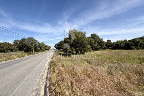 Helårsgrund i Palmela, Setubal, Palmela - € 100.000 | Ref: 048789 - foto 3