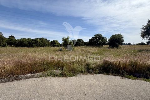 Helårsgrund i Palmela, Setubal, Palmela - € 100.000 | Ref: 048789 - foto 4