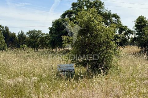 Helårsgrund i Palmela, Setubal, Palmela - € 100.000 | Ref: 048789 - foto 6