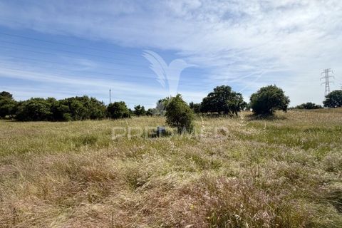 Helårsgrund i Palmela, Setubal, Palmela - € 100.000 | Ref: 048789 - foto 9