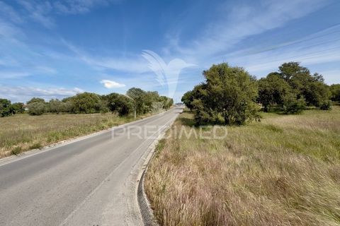 Helårsgrund i Palmela, Setubal, Palmela - € 100.000 | Ref: 048789 - foto 12