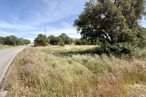 Helårsgrund i Palmela, Setubal, Palmela - € 100.000 | Ref: 048789 - foto 13