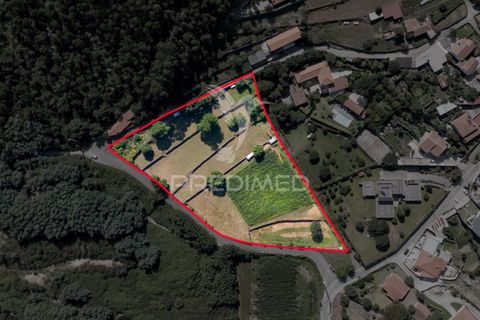 Farm hus i Barcelos, Braga, Barcelos - € 1.300.000 | Ref: 049402 - foto 39