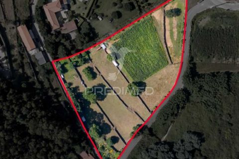 Helårsgrund i Barcelos, Braga, Barcelos - € 700.000 | Ref: 049404 - foto 1