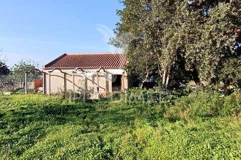 Helårsgrund i Palmela, Setubal, Palmela - € 374.900 | Ref: 049447 - foto 2