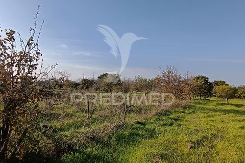 Helårsgrund i Palmela, Setubal, Palmela - € 374.900 | Ref: 049447 - foto 7