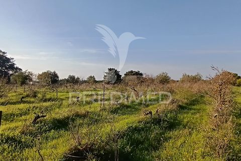 Helårsgrund i Palmela, Setubal, Palmela - € 374.900 | Ref: 049447 - foto 9