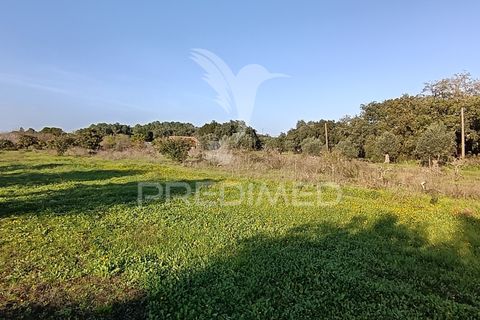 Helårsgrund i Palmela, Setubal, Palmela - € 374.900 | Ref: 049447 - foto 15