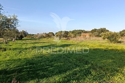 Helårsgrund i Palmela, Setubal, Palmela - € 374.900 | Ref: 049447 - foto 16