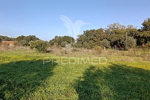 Helårsgrund i Palmela, Setubal, Palmela - € 374.900 | Ref: 049447 - foto 17