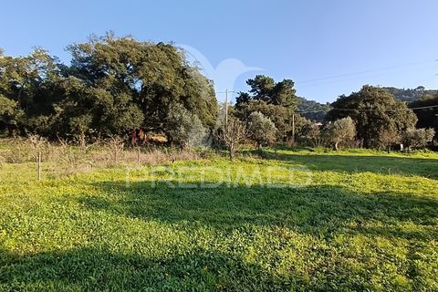 Helårsgrund i Palmela, Setubal, Palmela - € 374.900 | Ref: 049447 - foto 18