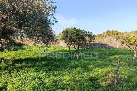 Helårsgrund i Palmela, Setubal, Palmela - € 374.900 | Ref: 049447 - foto 23