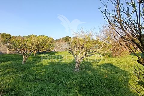 Helårsgrund i Palmela, Setubal, Palmela - € 374.900 | Ref: 049447 - foto 24