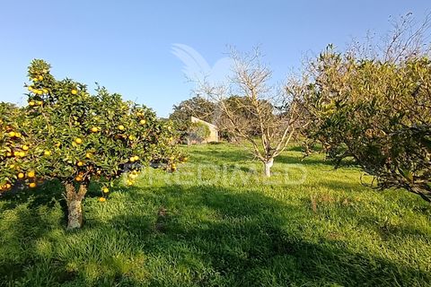 Helårsgrund i Palmela, Setubal, Palmela - € 374.900 | Ref: 049447 - foto 26