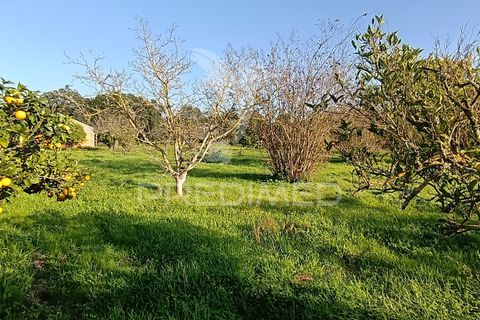Helårsgrund i Palmela, Setubal, Palmela - € 374.900 | Ref: 049447 - foto 28