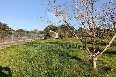 Helårsgrund i Palmela, Setubal, Palmela - € 374.900 | Ref: 049447 - foto 29