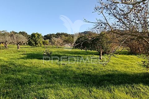 Helårsgrund i Palmela, Setubal, Palmela - € 374.900 | Ref: 049447 - foto 30