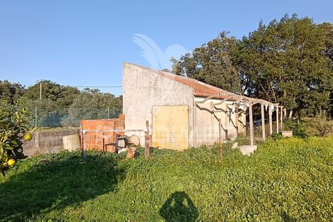 Helårsgrund i Palmela, Setubal, Palmela - € 374.900 | Ref: 049447 - foto 33