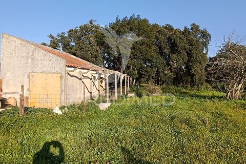 Helårsgrund i Palmela, Setubal, Palmela - € 374.900 | Ref: 049447 - foto 34