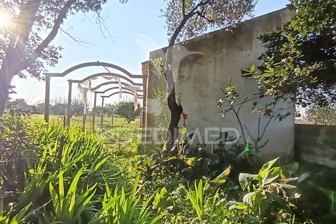 Helårsgrund i Palmela, Setubal, Palmela - € 374.900 | Ref: 049447 - foto 37