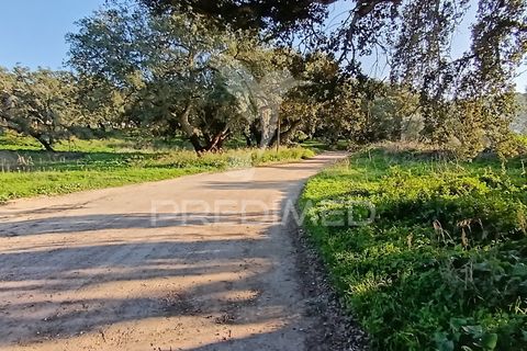 Helårsgrund i Palmela, Setubal, Palmela - € 374.900 | Ref: 049447 - foto 38