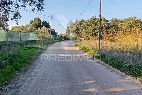 Helårsgrund i Palmela, Setubal, Palmela - € 374.900 | Ref: 049447 - foto 39