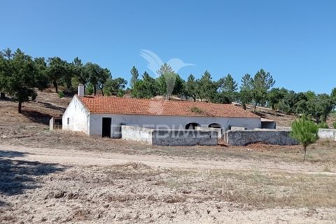 Farm hus i Mora, Evora, Mora - € 550.000 | Ref: 049598 - foto 1