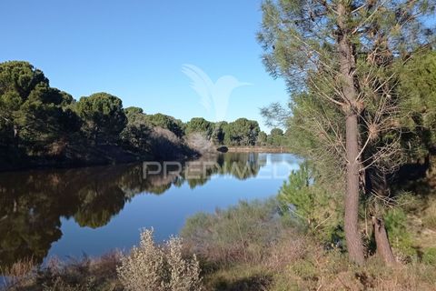 Farm hus i Mora, Evora, Mora - € 550.000 | Ref: 049598 - foto 3