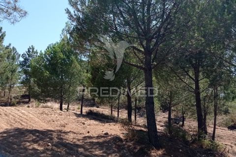 Farm hus i Mora, Evora, Mora - € 550.000 | Ref: 049598 - foto 5