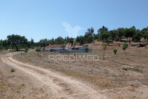 Farm hus i Mora, Evora, Mora - € 550.000 | Ref: 049598 - foto 9