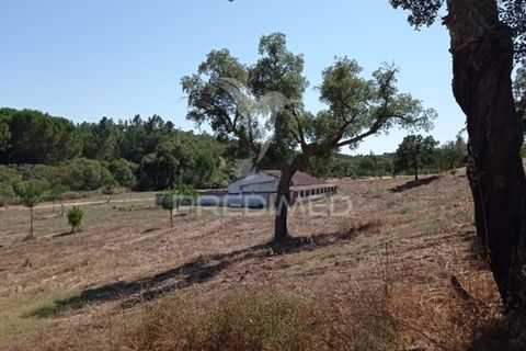 Farm hus i Mora, Evora, Mora - € 550.000 | Ref: 049598 - foto 10