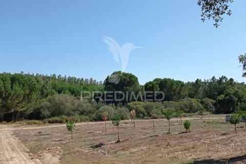 Farm hus i Mora, Evora, Mora - € 550.000 | Ref: 049598 - foto 11