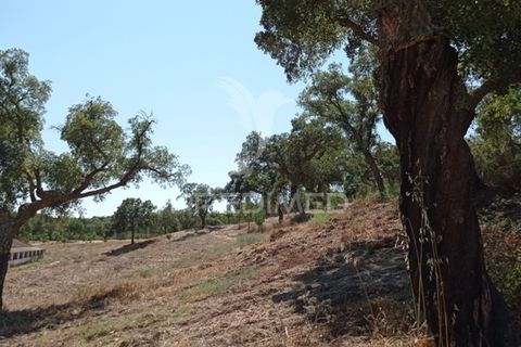 Farm hus i Mora, Evora, Mora - € 550.000 | Ref: 049598 - foto 13