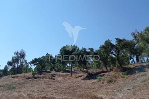 Farm hus i Mora, Evora, Mora - € 550.000 | Ref: 049598 - foto 14