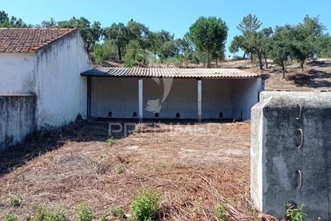 Farm hus i Mora, Evora, Mora - € 550.000 | Ref: 049598 - foto 15