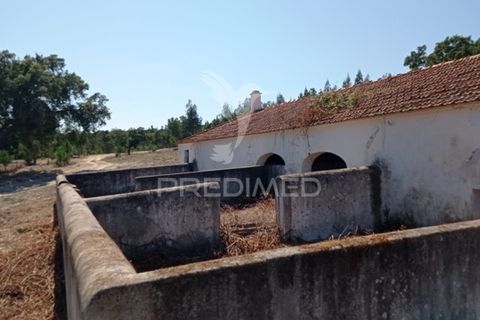 Farm hus i Mora, Evora, Mora - € 550.000 | Ref: 049598 - foto 16