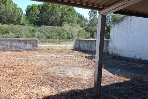 Farm hus i Mora, Evora, Mora - € 550.000 | Ref: 049598 - foto 18