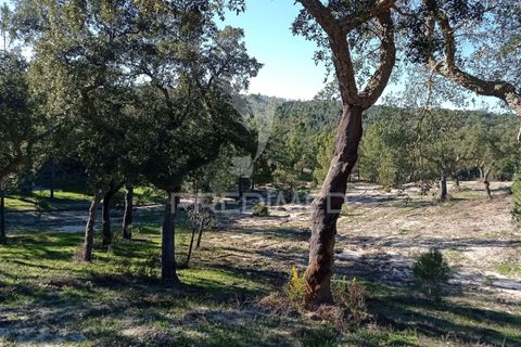 Farm hus i Mora, Evora, Mora - € 550.000 | Ref: 049598 - foto 24