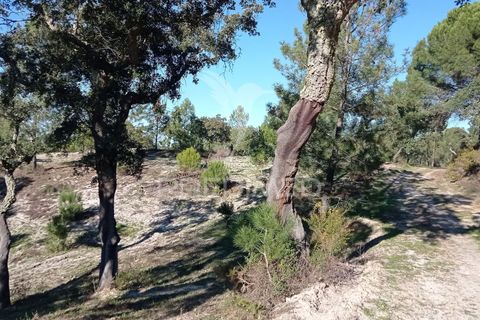 Farm hus i Mora, Evora, Mora - € 550.000 | Ref: 049598 - foto 25