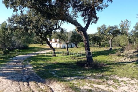 Farm hus i Mora, Evora, Mora - € 550.000 | Ref: 049598 - foto 26