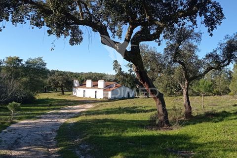 Farm hus i Mora, Evora, Mora - € 550.000 | Ref: 049598 - foto 27