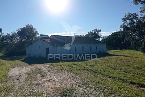 Farm hus i Mora, Evora, Mora - € 550.000 | Ref: 049598 - foto 28