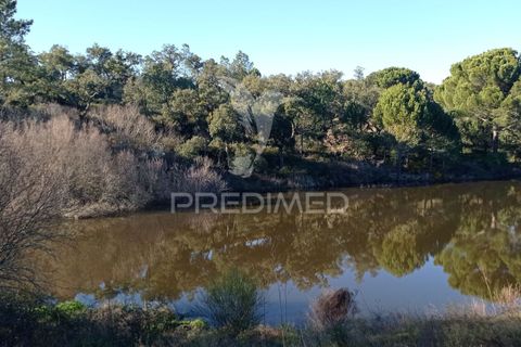 Farm hus i Mora, Evora, Mora - € 550.000 | Ref: 049598 - foto 31