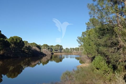 Farm hus i Mora, Evora, Mora - € 550.000 | Ref: 049598 - foto 32