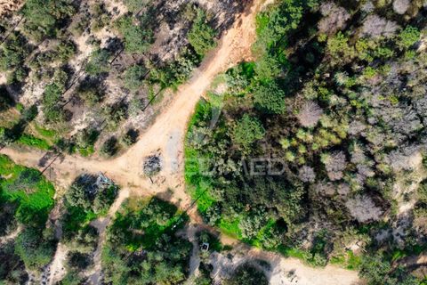 Helårsgrund i Castro Marim, Faro, Castro Marim - € 26.000.000 | Ref: 049648 - foto 7