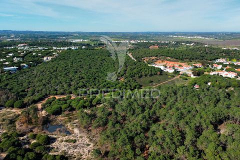 Helårsgrund i Castro Marim, Faro, Castro Marim - € 26.000.000 | Ref: 049648 - foto 8