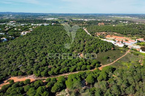 Helårsgrund i Castro Marim, Faro, Castro Marim - € 26.000.000 | Ref: 049648 - foto 9
