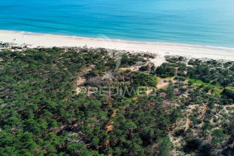 Helårsgrund i Castro Marim, Faro, Castro Marim - € 26.000.000 | Ref: 049648 - foto 12